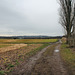 Feldweg auf der Fischlakener Höhe (Essen) / 4.02.2017