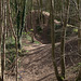 Reclaimed colliery land at Poynton