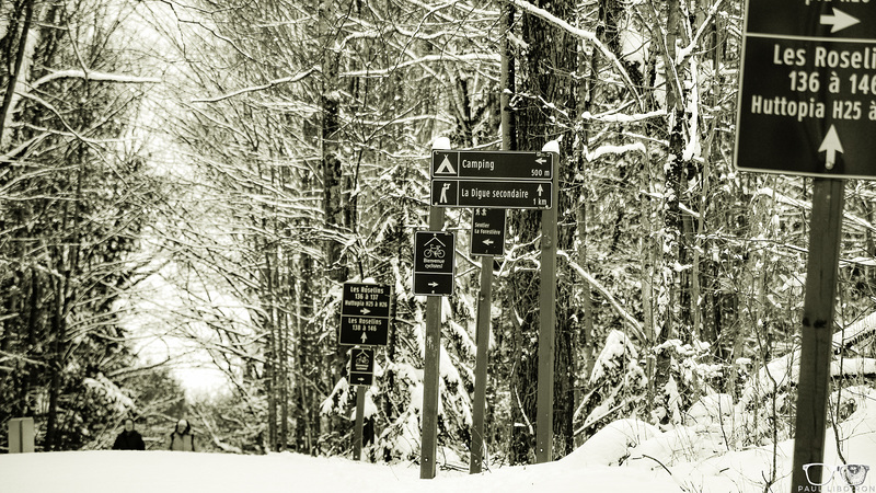Parc Yamaska janvier 16 sortie photo web-47