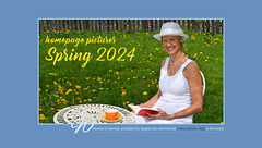 Ipernity Homepage Spring 2024