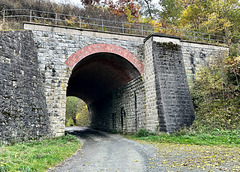 Altes Viadukt bei Hasselborn