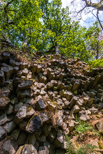 Basalt im Wald - 20150812