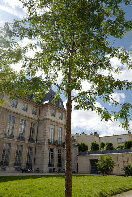 jardin Hôtel Salé, Paris