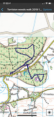 Torrieston Woods Walks