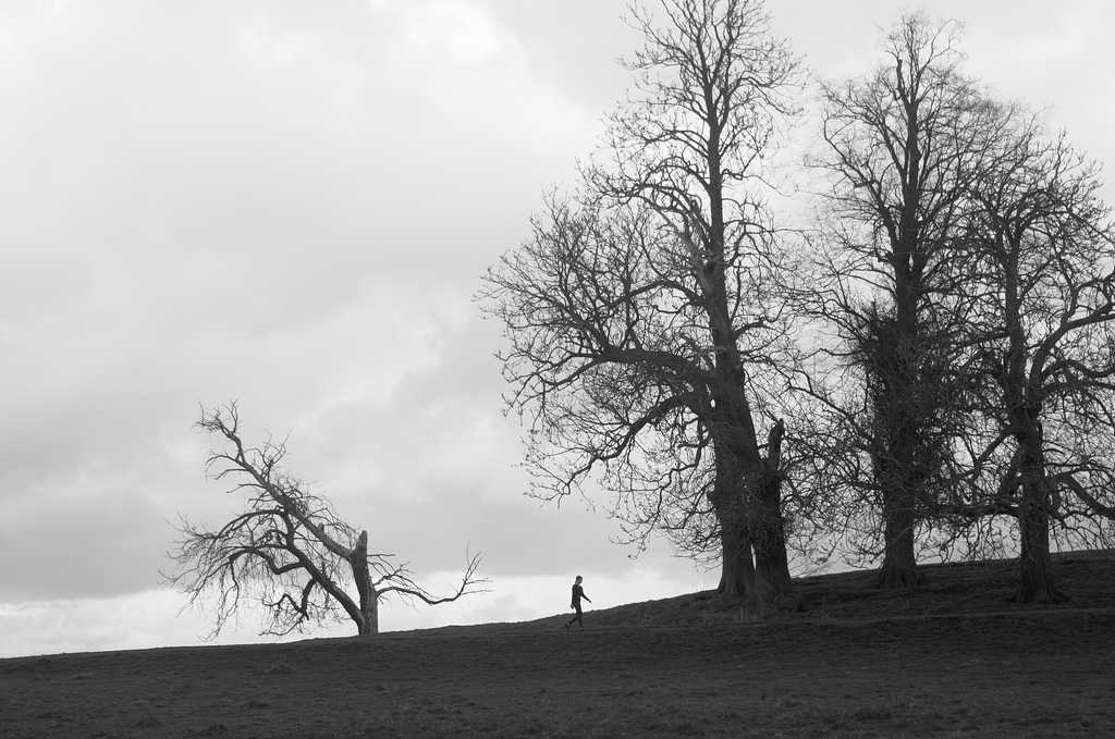 Exercise in grey
