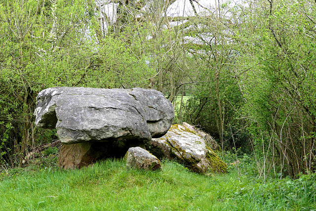 Dolmen de la Voie