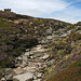 Grindsbrook head