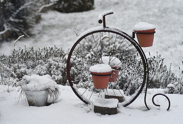 Schnee in Sponholz