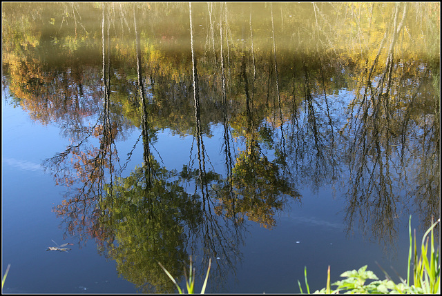 Le canal de Bourgogne