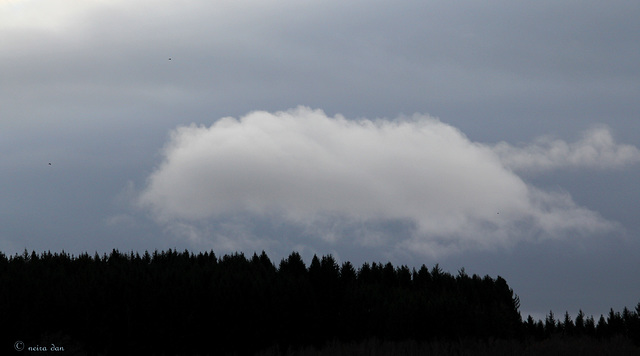 Brosse à nuages