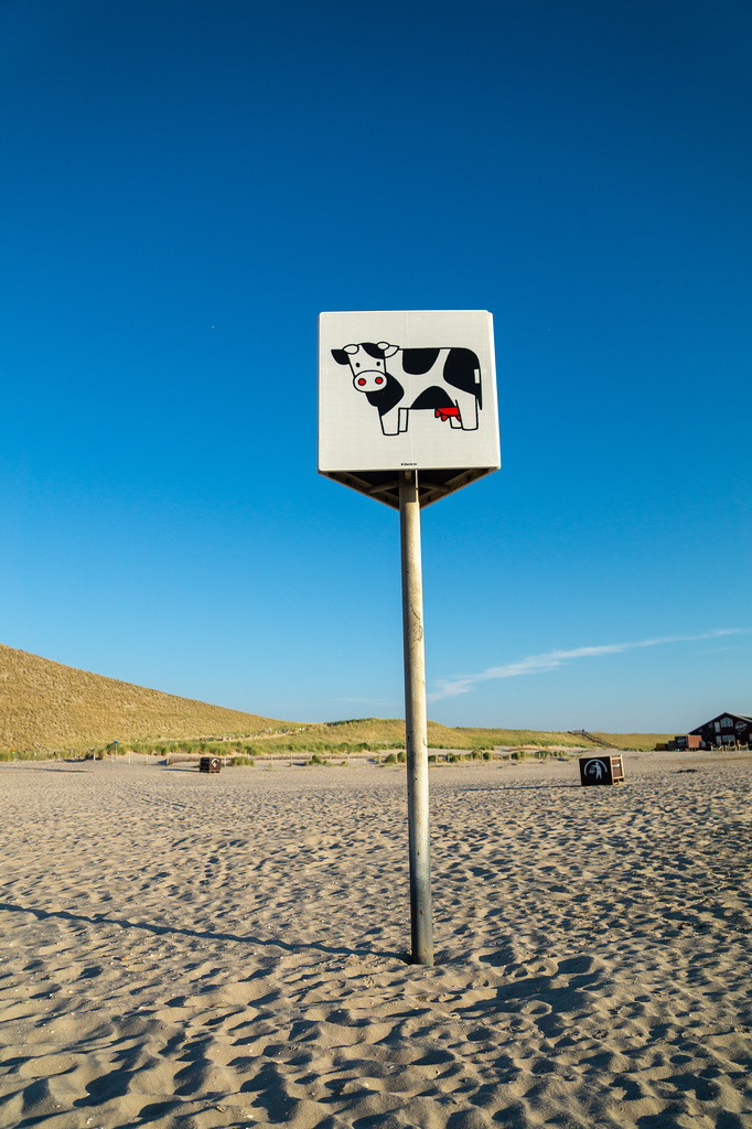 Niederlande - Petten