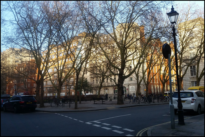 Queen Square in January