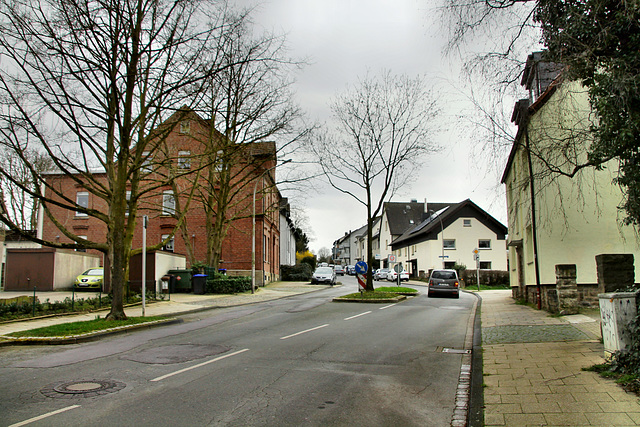 Kreisstraße (Witten-Rüdinghausen) / 8.03.2020