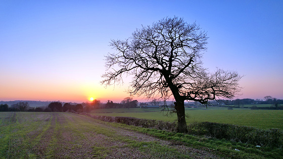 February sunset