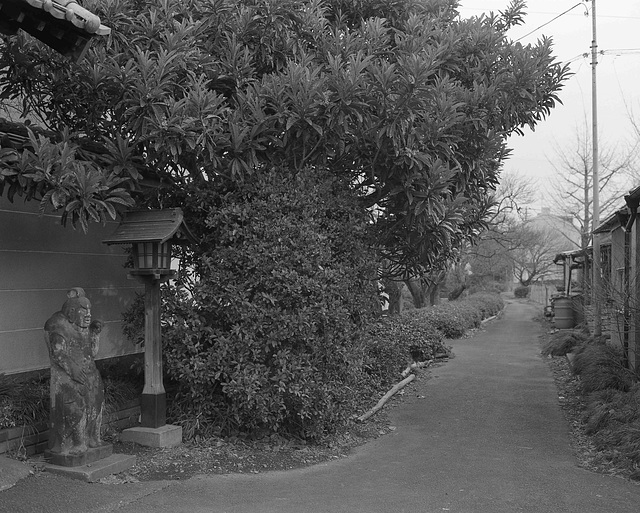 Path by a temple