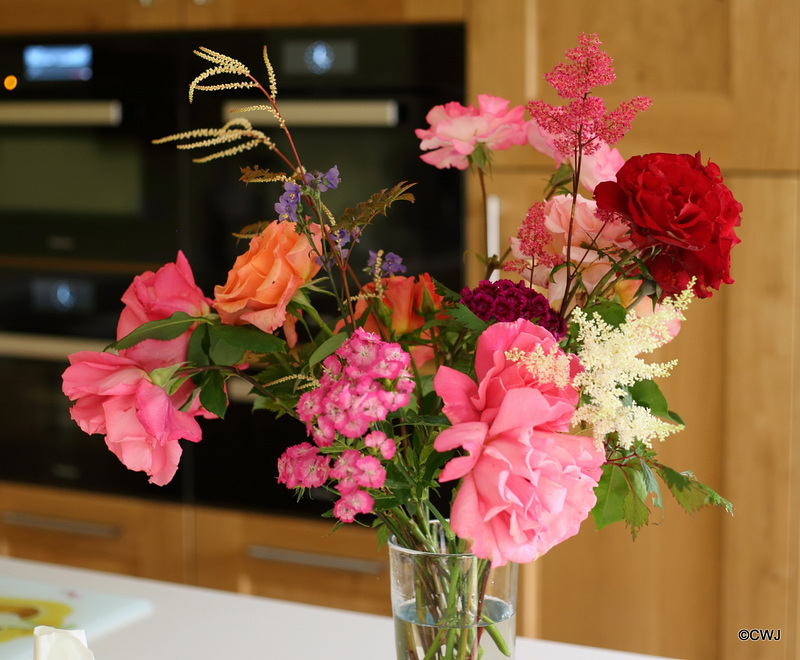 Summer garden offerings
