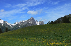 Austria - Oostenrijk