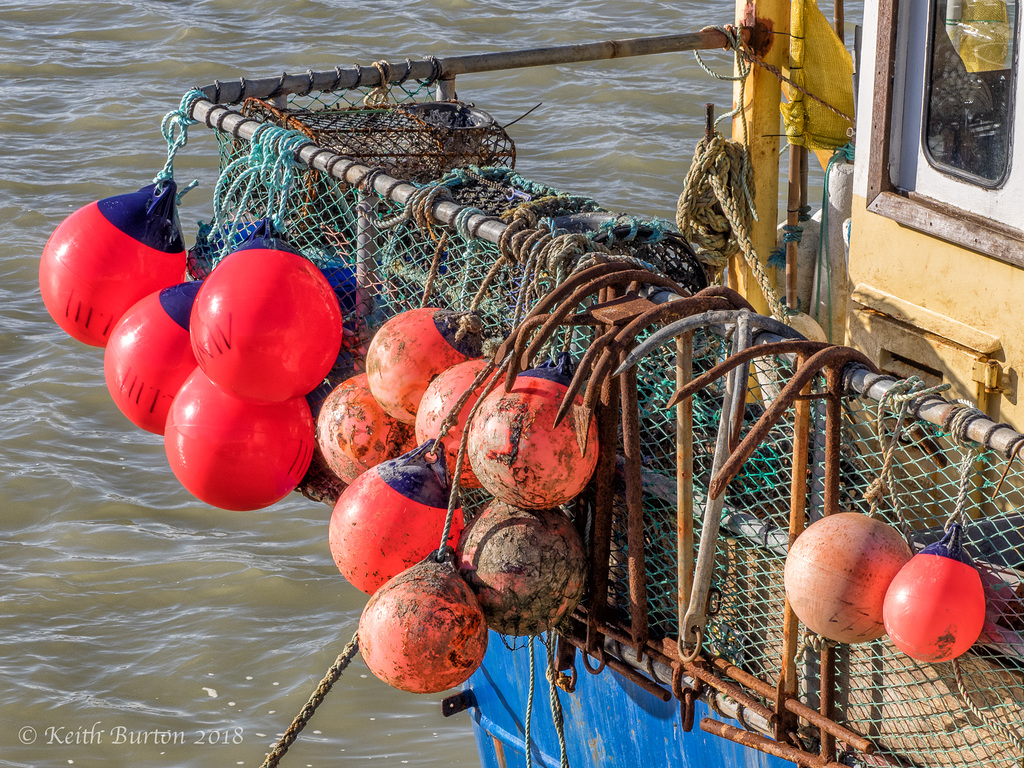 "Well, Hello Buoys"