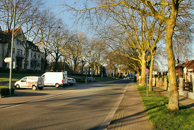 Sachsenweg (Hamm-Heessen) / 17.03.2020