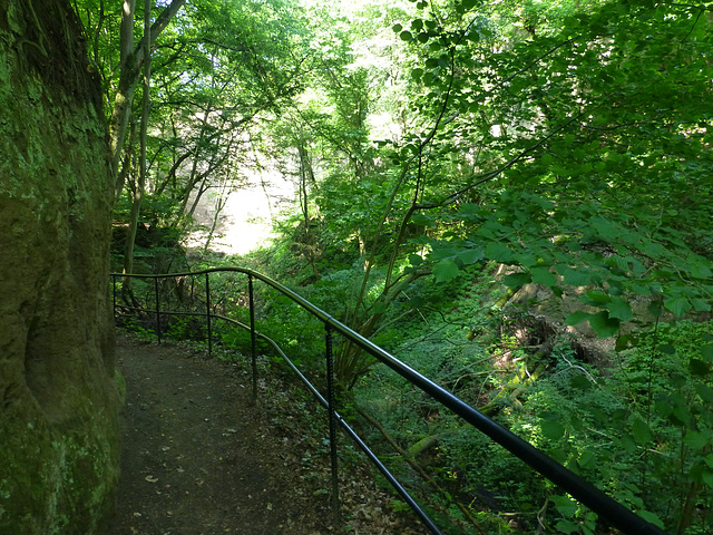 DE - Andernach - Auf dem Höhlen- und Schluchtensteig