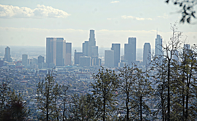 Los Angeles