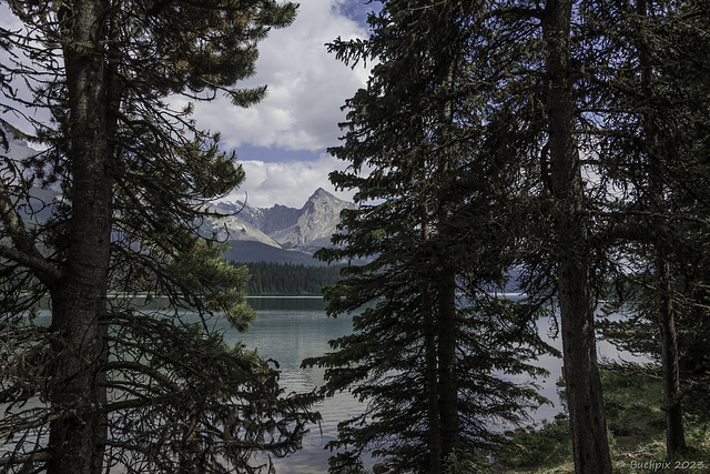 am Maligne Lake (© Buelipix)