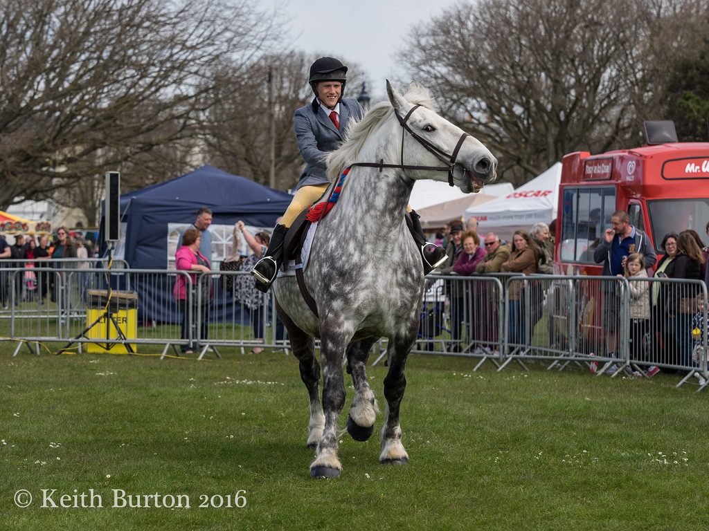 Working and Heavy Horse Show