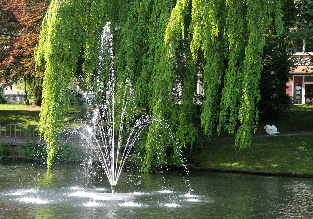Springbrunnen
