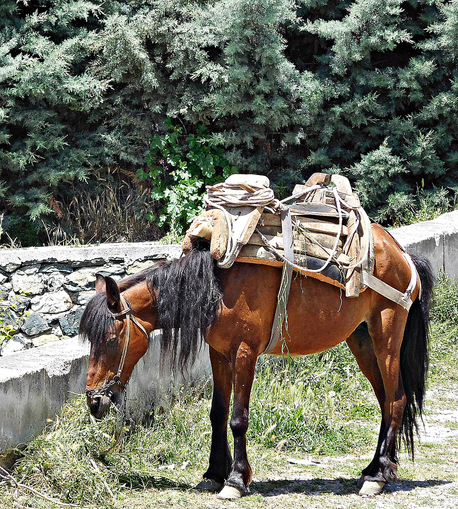 Mborjë village