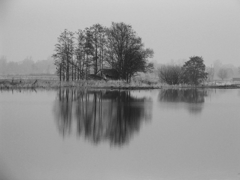 img 3150sw  (Fischerhuder Wümmeniederung)