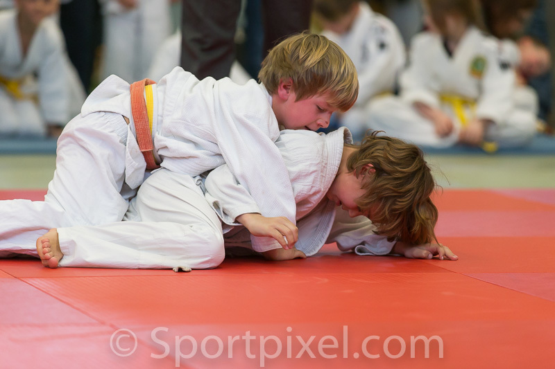 pokal2016judo-0402 25127506414 o