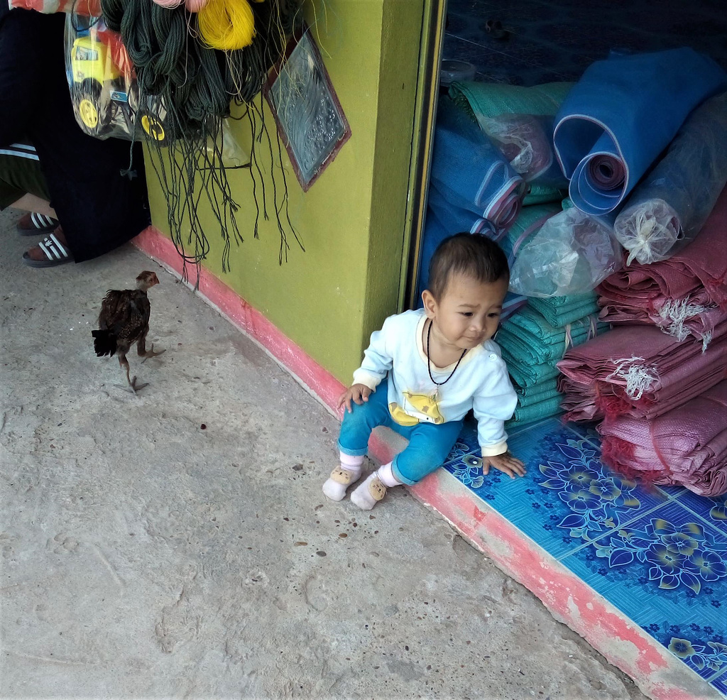 La poule et le bébé / Laotian baby with its hen (Laos)