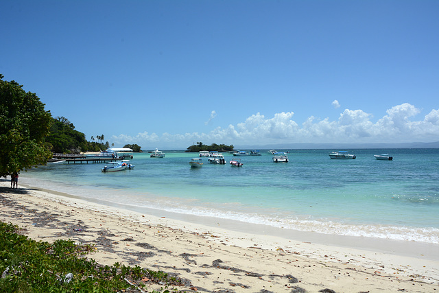 Dominican Republic, Boats at the Pier on the Island of Bacardi