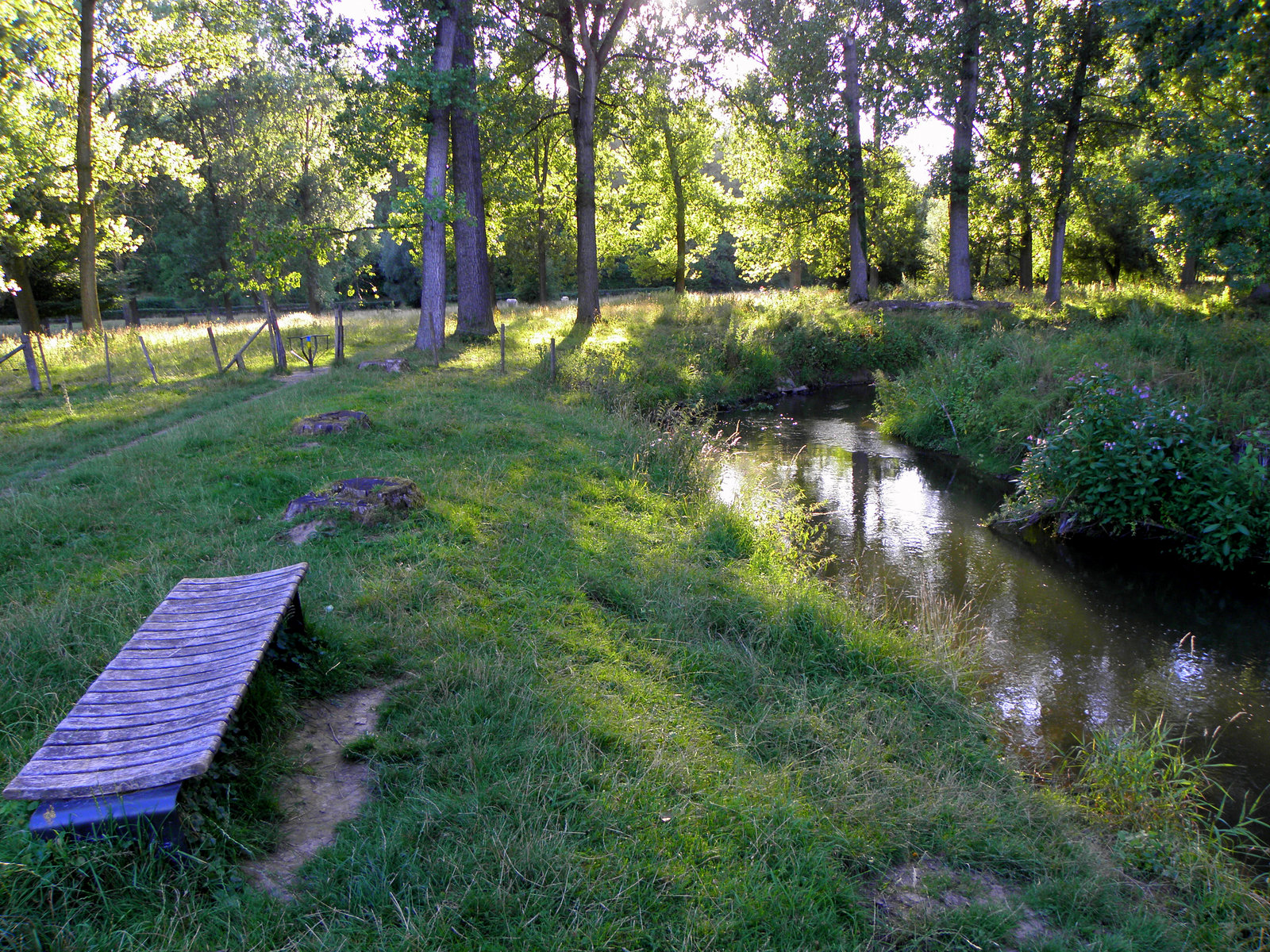 (Hbm) beside  the river