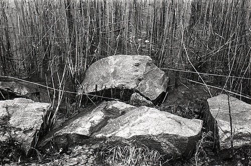 Rocks
