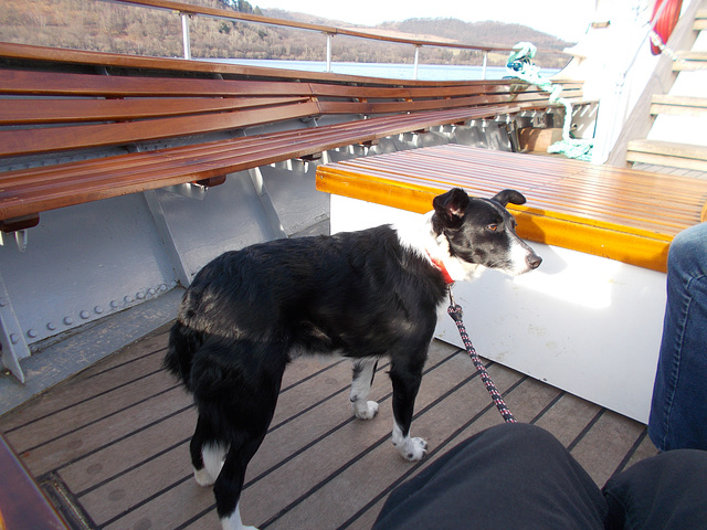 IBB[25] - Bella on the foredeck