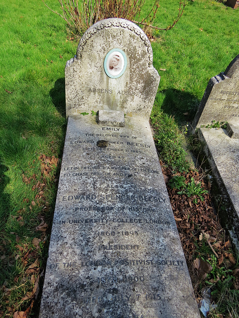 paddington cemetery, brondesbury, london