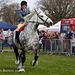 Working and Heavy Horse Show