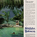 Nassau And The Bahamas Ad, c1965