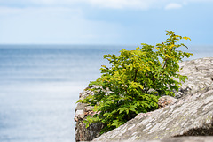 20210810- DSC7162