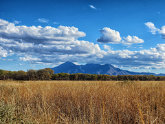 Sierra de San José Mountain, Sonora, Mexico