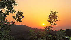 DSCF4279