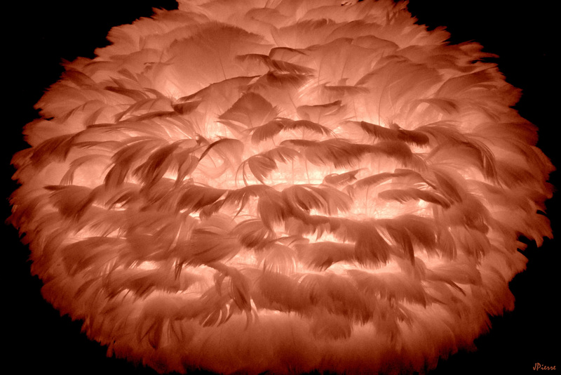 Lampe plume