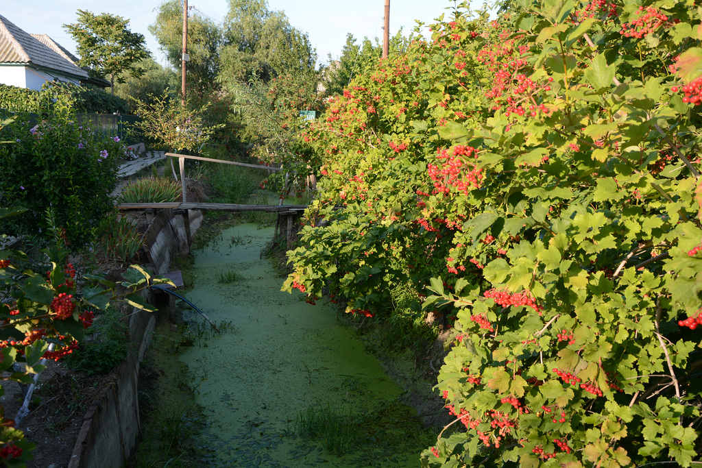 Украина, Вилково, Мост через ёрик улицы Чкалова / Ukraine, Vilkovo, Bridge across the canal of Chkhalov street