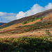 Bareholme Moss