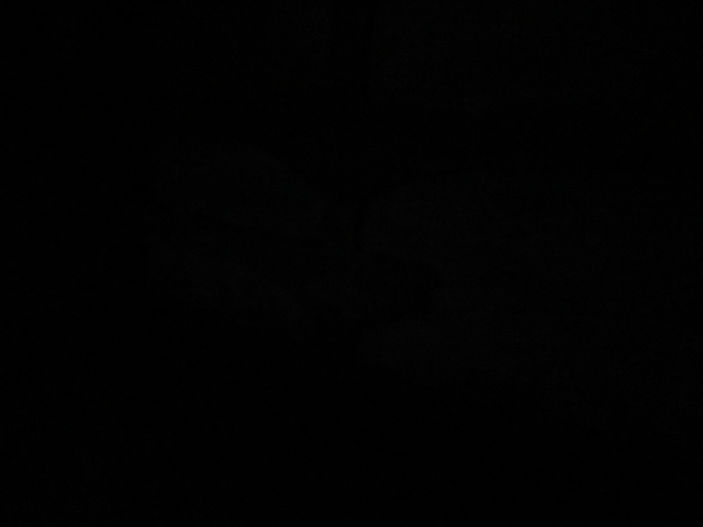 IMG 6183