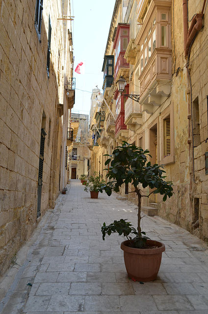 Malta, Vittoriosa, the Narrow Walking Street