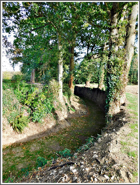 Les douves sèches du château de la Crochais à Beaussais sur Mer (22)