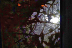 Looking Out Into The Illuminated Darkness