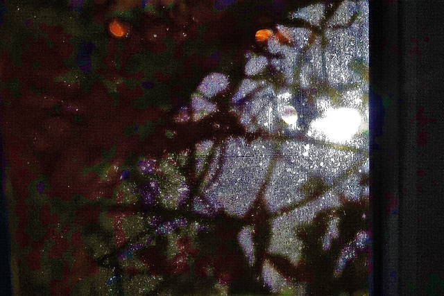 Looking Out Into The Illuminated Darkness